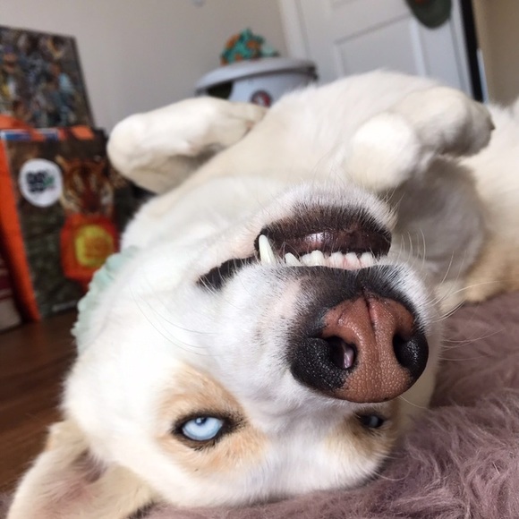 Meet your Posher, Becca - Picture 3 of 5